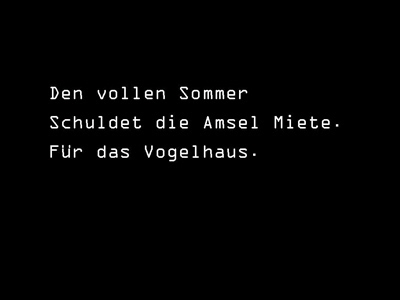 mietevogelhaus-1