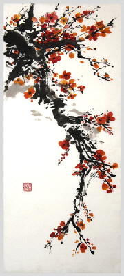 ms-351-25x70-2023 ms-351-25x70-2023