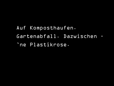 plastikrose-1