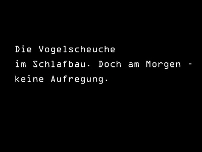 vogelscheuche-voegel-1