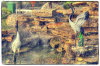 _MG_0731_2_3_Enhancer copy-800px