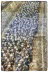 _MG_2160_1_2_Enhancer copy-800px