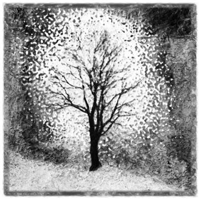 winterstrand-s88-baum-80x80-mR